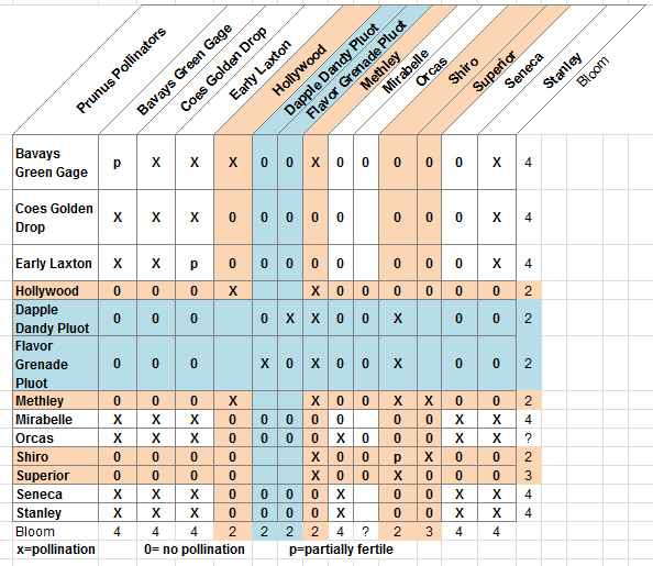 Superior Plum Pollination Chart